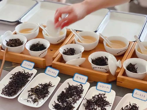 食品安全國家標準 茶葉 gb 31608 2023