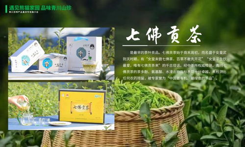 遇見(jiàn)熊貓家園,品味青川山珍